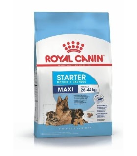 Royal Canin Maxi Starter 10kg