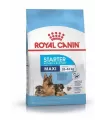 Royal Canin Maxi Starter 10kg