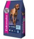 Eukanuba Senior Large Breed 15kg
