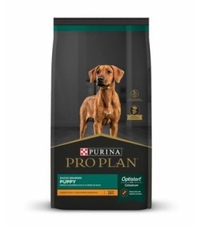 Pro Plan Puppy Large Breed 15kg