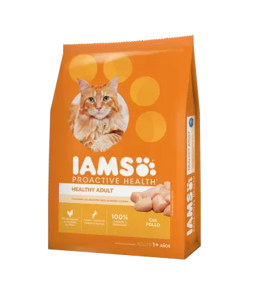 Iams Cat Adult