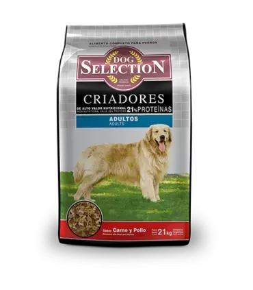Dog Selection