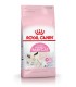 Royal Canin Babycat 1.5kg