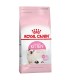 Royal Canin Kitten 7.5kg