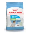 Royal Canin X-Small Puppy 1kg