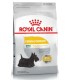 Royal Canin Mini Dermacomfort