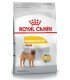 Royal Canin Medium Dermacomfort 3kg