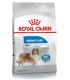 Royal Canin Maxi Weight Care