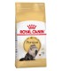 Royal Canin Persian 1.5kg