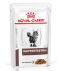 Royal Canin cat Gastrointestinal Pouch x 12