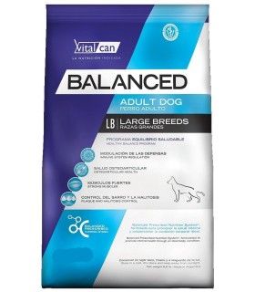Vital Can Balanced Adult Large Breed 20kg