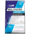 Vital Can Balanced Adult Large Breed 20kg