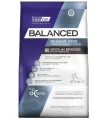 Vital Can Balanced Senior Medium Breed 12kg