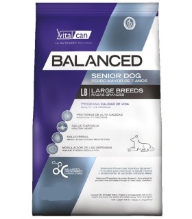 Vital Can Balanced Senior Large Breed 15kg