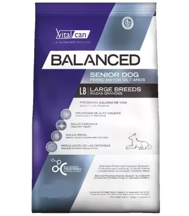 Vital Can Balanced Senior Large Breed 15kg