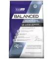 Vital Can Balanced Senior Large Breed 15kg