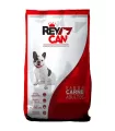 Rey Can Carne 22Kg