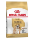 Royal Canin Bulldog Ingles Adult 12kg