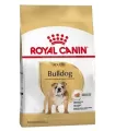 Royal Canin Bulldog Ingles Adult 12kg