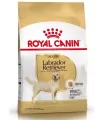 Royal Canin Labrador Retriever Adult 12kg