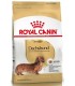 Alimento para perros Royal Canin Dachshund 3kg
