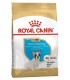 Royal Canin Bulldog Frances Puppy