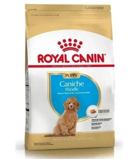 Royal Canin Caniche Puppy