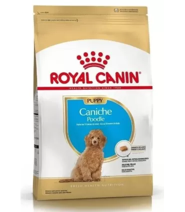 Royal Canin Caniche Puppy