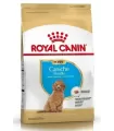 Royal Canin Caniche Puppy 3kg