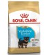 Royal Canin Yorkshire Terrier puppy