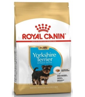 Royal Canin Yorkshire Terrier puppy
