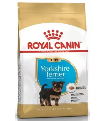 Royal Canin Yorkshire Terrier puppy