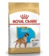 Alimento para perros Royal Canin Boxer  Junior 12kg