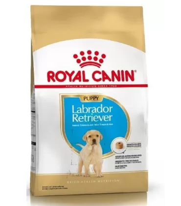Alimento para perros Royal Canin Labrador Junior 12kg
