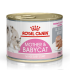 Royal Canin Babycat: Alimento Premium para Gatitos Recién Destetados