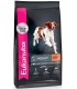 Eukanuba Adulto Medium Breed 15kg