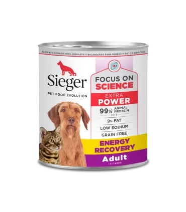 Sieger Energy Recovery 340Gr - Suplemento Deportivo Recuperación Muscular