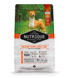 Nutrique Medium Young Adult 12 KG