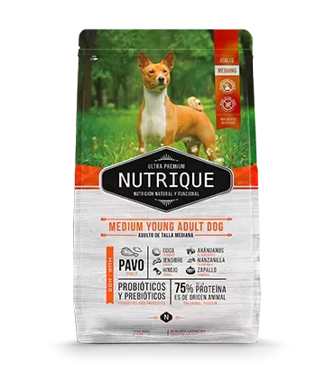 Nutrique Medium Young Adult 12 KG