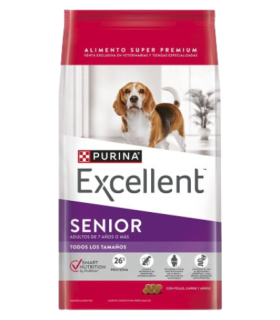 Excellent Dog  Senior 7+