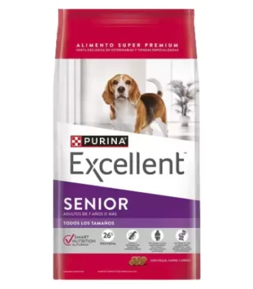 Excellent Dog  Senior 7+