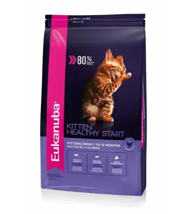 Eukanuba Kitten