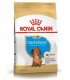 Royal Canin Dachshund Puppy