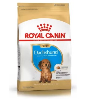 Royal Canin Dachshund Puppy