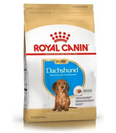 Royal Canin Dachshund Puppy
