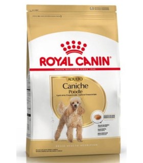Royal Canin Caniche