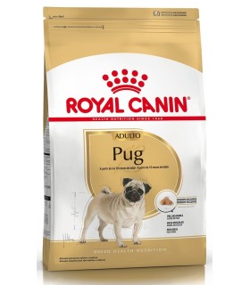 Royal Canin Pug adulto
