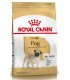 Royal Canin Pug adulto
