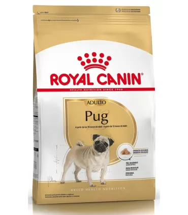 Royal Canin Pug adulto
