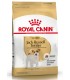 Royal Canin Jack Russel adulto